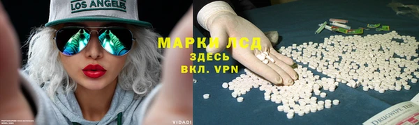 дживик Алзамай
