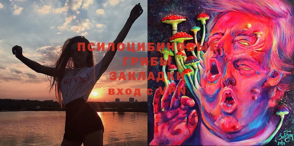 дмт Алексеевка