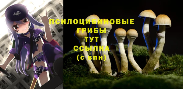 спиды Алексин