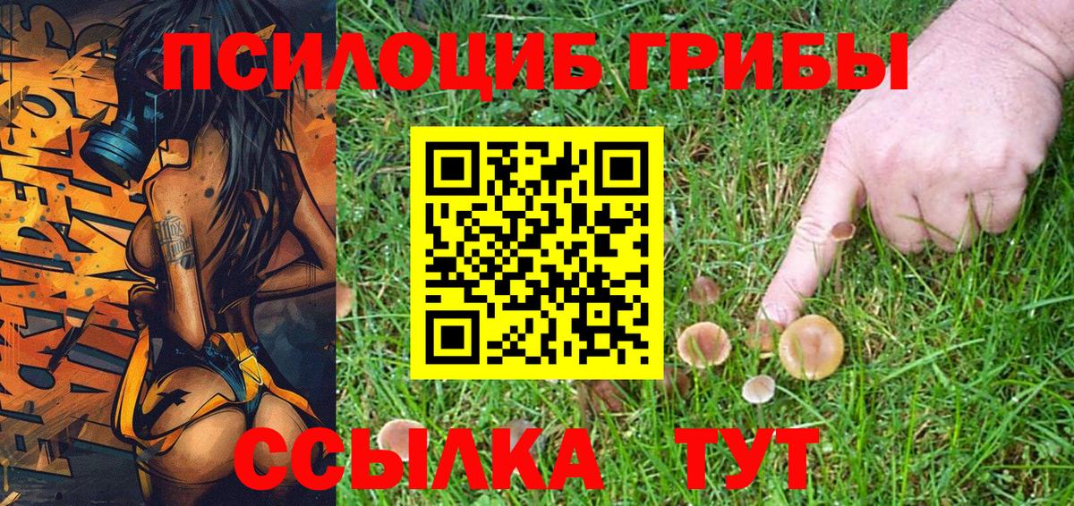 Псилоцибиновые грибы Cubensis  Вход с VPN  Нижнеудинск 